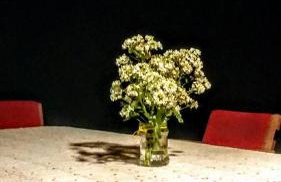 Miętowy Anioł - Foto 60