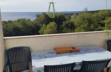 Apartments with parking space Brgujac, Vis - 8919 - Foto 26