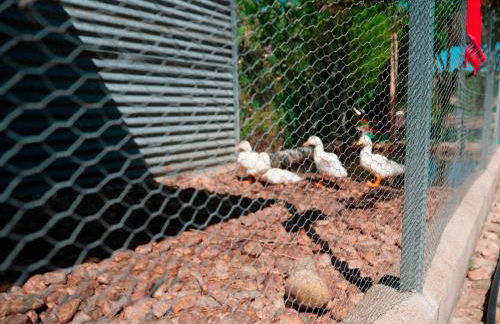 Imperio de Memorias - Casa de Campo - Foto 25