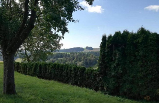 Ferienhaus in Altenfeld Thuringen mit Garten - Foto 117