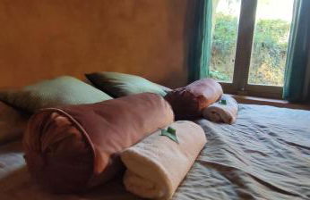 Associação Quinta das Relvas - Foto 98