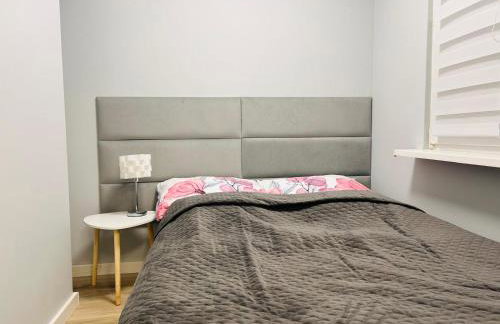 Apartament Stronie Ski & Summer - Foto 6