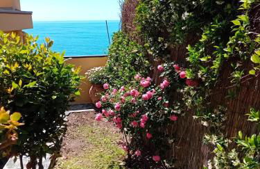 Raggio di Luna - Foto 19