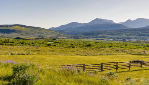 Cozy Cora Studio Cabin with Wind River Mtn Views - Photo 3