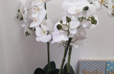 Appart dans petit chateau en centre ville - Foto 30