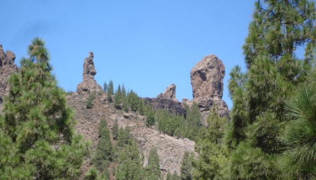Cumbres de Gran Canaria y Roque Nublo - Tour de día entero - Foto 2