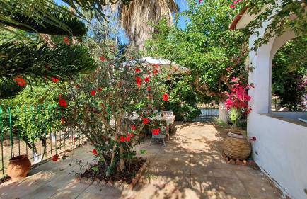 Villa Dunes 350m from the sandy beach - Foto 85