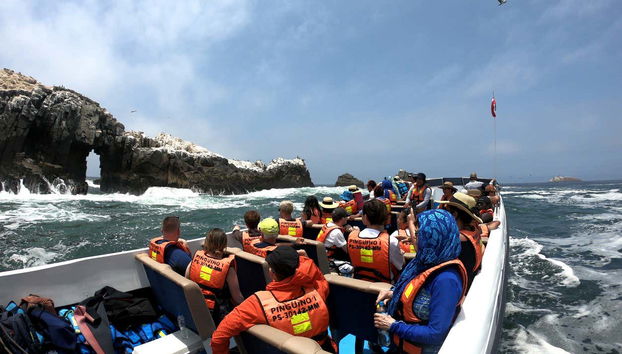 Giro in motoscafo delle Isole Palomino