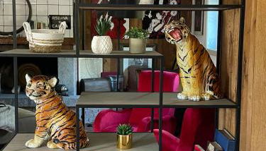 VILLA DELLE ROSE CINQUE TERRE - Foto 5