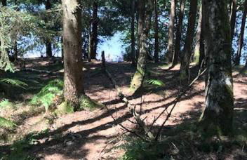 Morvan La Pastourelle - Foto 24