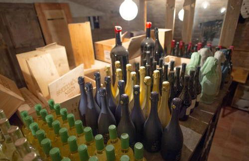 La Canonica - charming self-catering apartments in Nizza Monferrato - Foto 65