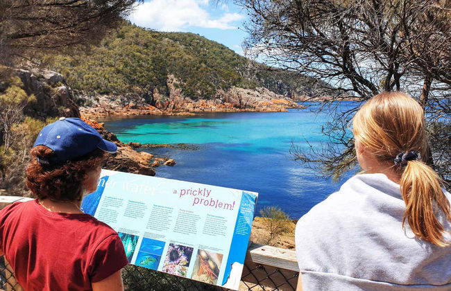 Wineglass Bay & Freycinet Day Trip - Foto 10
