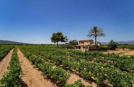 Vinyes Can Grau - Foto 19