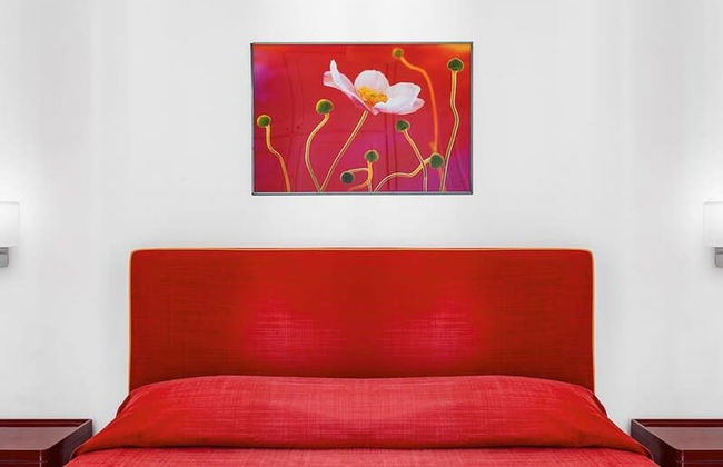 Le Capannelle - Boheme - Foto 7