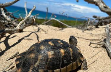 Acquamarina House by the sea - Foto 25