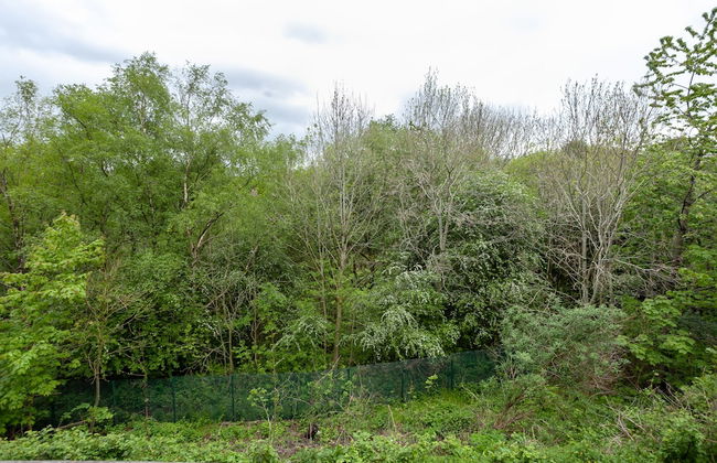 Lakeside view - Manchester townhouse - Foto 18