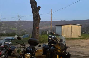 La corte dei celti -10 - Foto 30