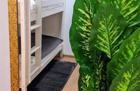 Stella di Sella Nevea - Foto 13