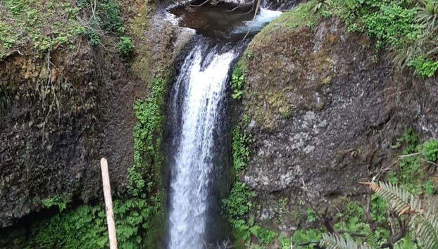 Recorreremos las cataratas de Portland