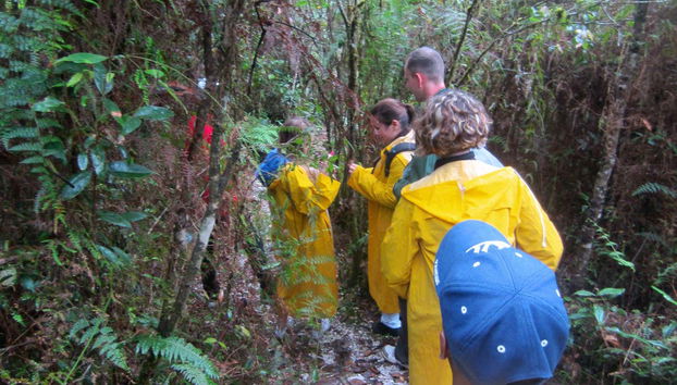 Hiking in Paraíso - Foto 2