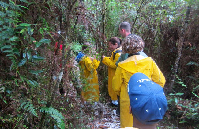 Hiking in Paraíso - Foto 2