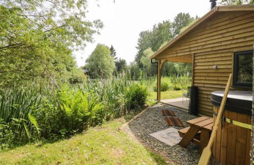 Kingfisher - Foto 16