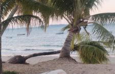 Lucy teles - Foto 29