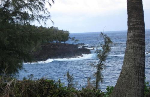 Coconut Palms Vacation Rental near lava fields and beaches - Foto 42