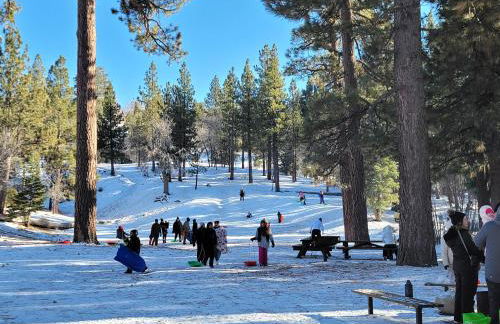 Four Seasons Getaway-Private Hot Spa with Pine Tree Views-Walk to Village and Pineknot Trailhead-Plus King Bed! - Photo 41