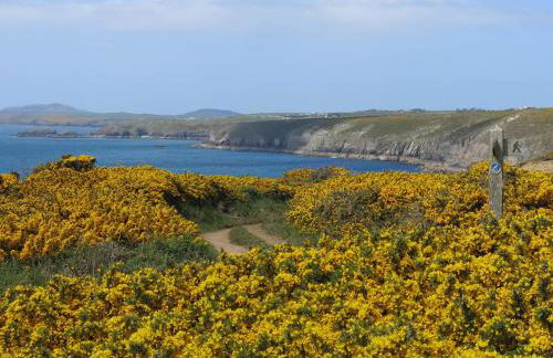 Skomer View Solva - Foto 13