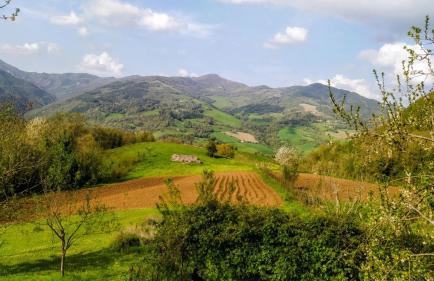 Agriturismo Coradosso "Il Fienile" - Photo 17