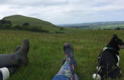 Detached Cosy Cottage in Wooler, Northumberland - Photo 6