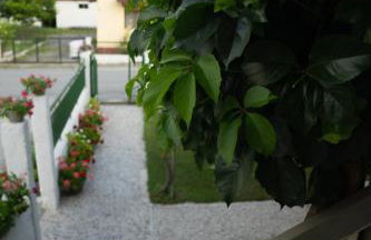 Xrysa's House - Foto 74