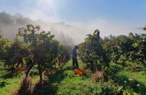 Haus Rosalinde - Photo 22