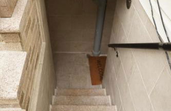 Cozy 2 Bedroom In A Lovely Forest Hills Neighborhood - Foto 20