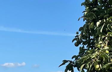 Schöne Ferienwohnung in Bahnhofsnähe für Urlaub, Studium oder Arbeit - Foto 41