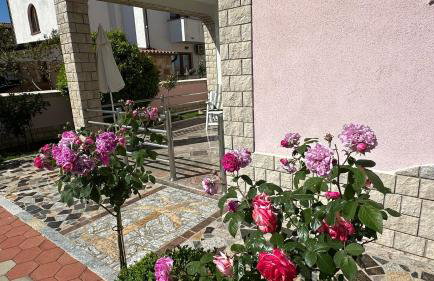 Villa Baldi -Apartmani Danny - Foto 44