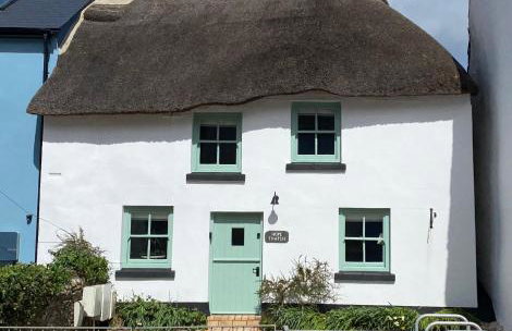 Hope Thatch - Foto 1