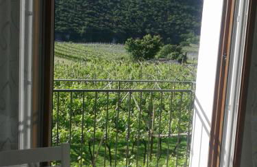 La Masera Holiday - Vigneto - Foto 9