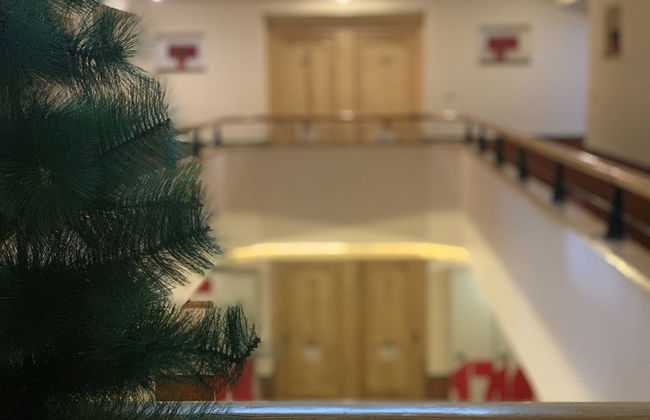 Apartamentos Plaza - Photo 14