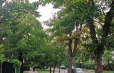 Green Apartament Żoliborz - Foto 26