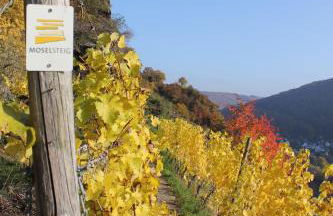 Ferienwohnung zur Burg Eltz - Foto 32