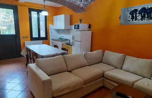 Natura tra bosco e lago - Foto 18