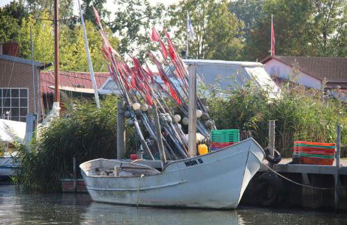 Strandhaus 134 - Foto 19