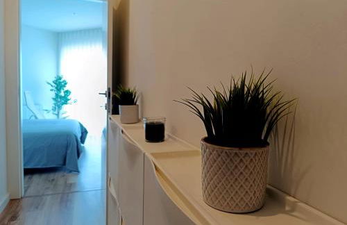 Cavalos de Ofir - Photo 7