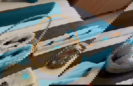 maşukiye dream homes - Foto 13