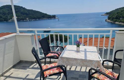 Apartments Pavlić - Photo 8