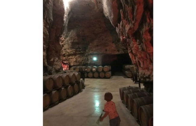 South of France Modern Retreat - Foto 11