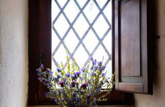 Lama Di Luna Biomasseria - Foto 48