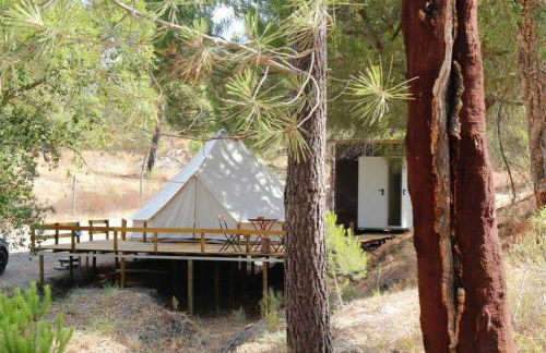 Monte da Tojeirinha - Foto 74